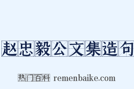 赵忠毅公文集造句是什么意思的图片